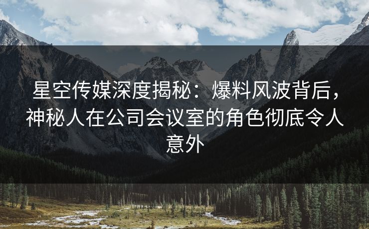 星空传媒深度揭秘：爆料风波背后，神秘人在公司会议室的角色彻底令人意外