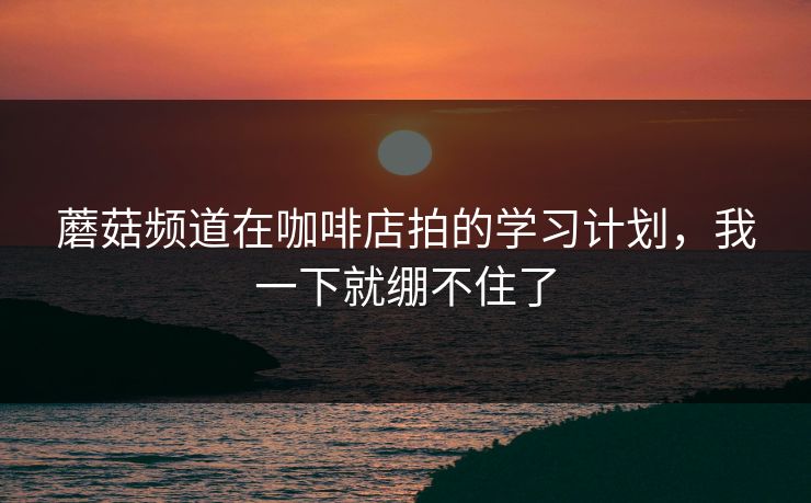 蘑菇频道在咖啡店拍的学习计划，我一下就绷不住了