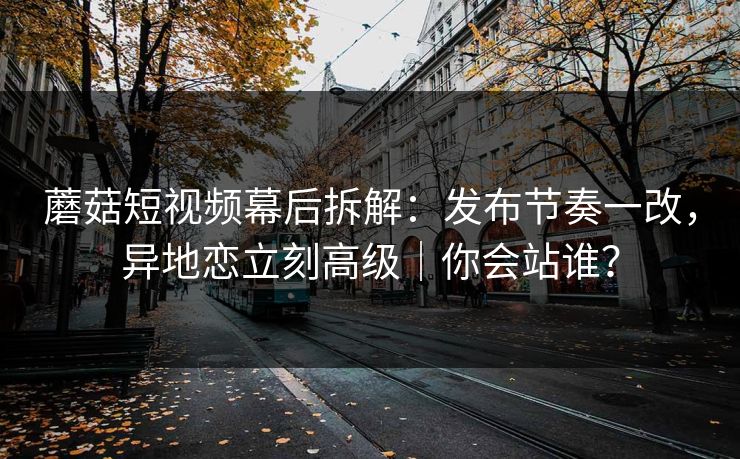 蘑菇短视频幕后拆解：发布节奏一改，异地恋立刻高级｜你会站谁？